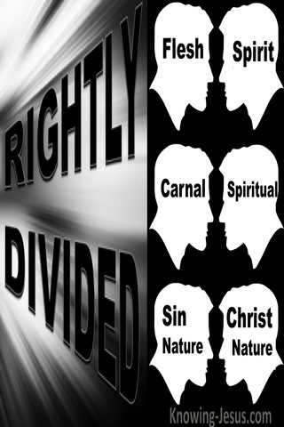 A Rightly Divided Creation (devotional)11-26 (white)